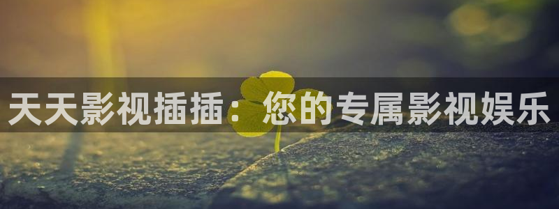 深夜欧美影院：天天影视插插：您的专属影视娱乐