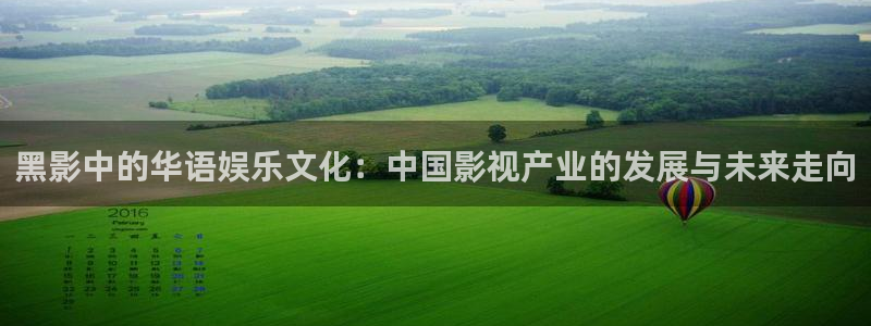 操欧美影院：黑影中的华语娱乐文化：中国影视产业的发展与未来走向