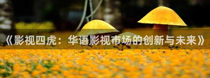 欧美影院久久影院：《影视四虎：华语影视市场的创新与未来》
