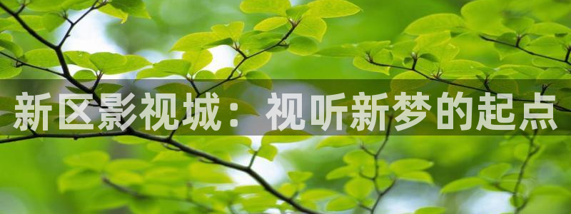 欧美影院hd在线观看：新区影视城：视听新梦的起点