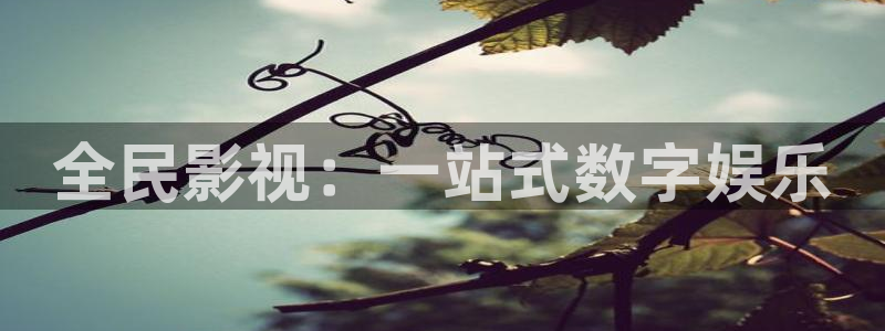 大香欧美影院：全民影视：一站式数字娱乐