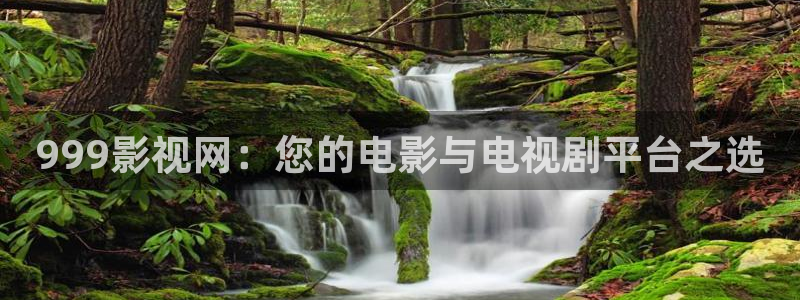 欧美影院首页在线播放：999影视网：您的电影与电视剧平台之选