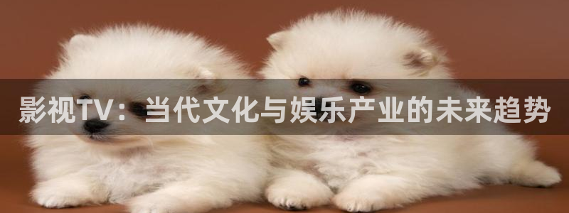黄色欧美影院：影视TV：当代文化与娱乐产业的未来趋势