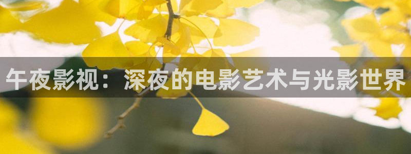 成人日韩欧美影院：午夜影视：深夜的电影艺术与光影世界