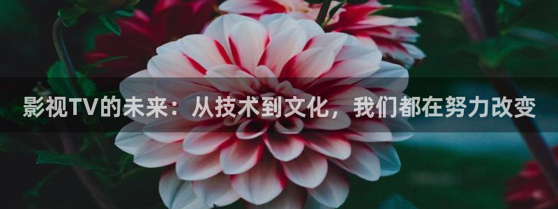 草草欧美影院：影视TV的未来：从技术到文化，我们都在努力改变