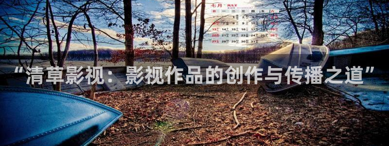 欧美影院：“清草影视：影视作品的创作与传播之道”